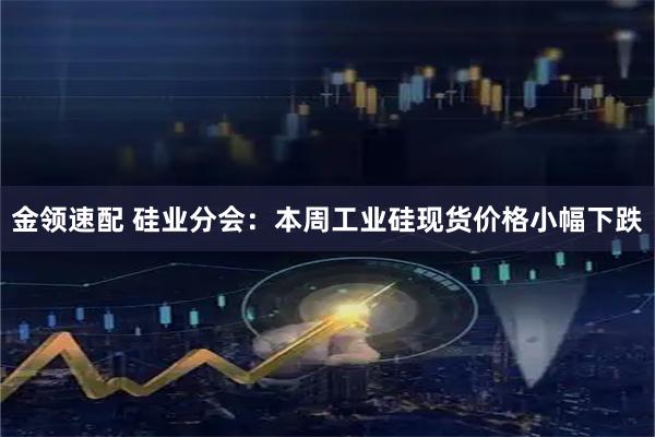 金领速配 硅业分会：本周工业硅现货价格小幅下跌