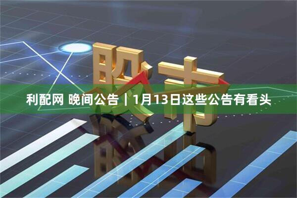 利配网 晚间公告｜1月13日这些公告有看头