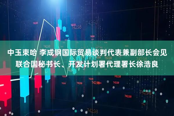 中玉束哈 李成钢国际贸易谈判代表兼副部长会见联合国秘书长、开发计划署代理署长徐浩良
