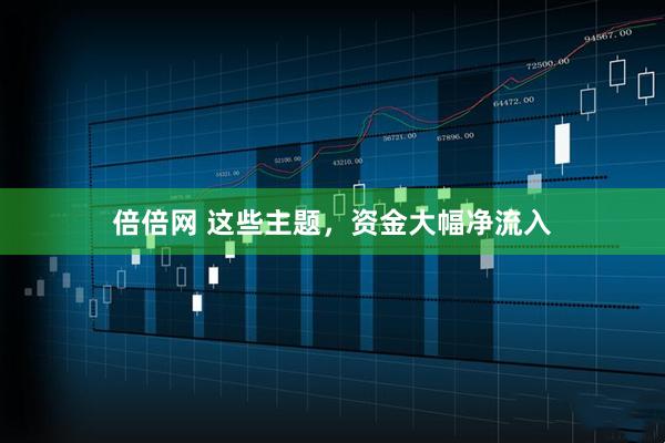 倍倍网 这些主题，资金大幅净流入