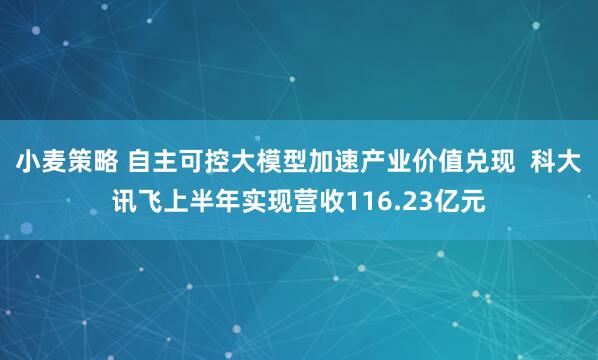 小麦策略 自主可控大模型加速产业价值兑现  科大讯飞上半年实现营收116.23亿元